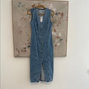 A&F Mara Vest Midi Button Down Dress